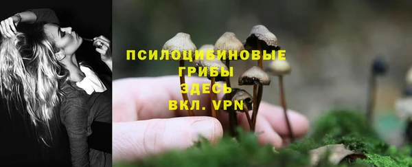 бутират Дмитровск