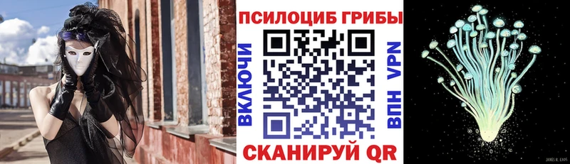 Купить закладки  Узловая  Галлюциногенные грибы Magic Shrooms 