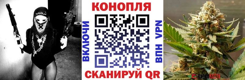 Канабис Amnesia  Купить закладки  Узловая 